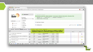 dataimport.DataImportHandler

 