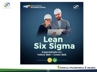 Lean Six Sigma curso de gestión de calidad | PDF