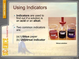 Using Indicators
 Indicators are used to
find out if a solution is
an acid or an alkali.
 Two common indicators
are:
(a) Litmus paper
(b) Universal indicator
© Copyright Star Publishing Pte Ltd 40
litmus solution
 