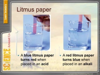 Litmus paper
 A blue litmus paper
turns red when
placed in an acid
 A red litmus paper
turns blue when
placed in an alkali
© Copyright Star Publishing Pte Ltd 41
 