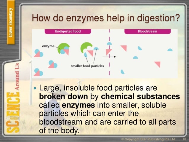 Enzymes That Make Insoluble Food Soluble Enzymes That Make Insoluble Food Soluble