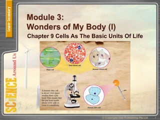 Module 3:
Wonders of My Body (I)
Chapter 9 Cells As The Basic Units Of Life
1© Copyright Star Publishing Pte Ltd
 