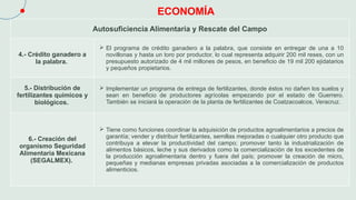 ECONOMÍA
Autosuficiencia Alimentaria y Rescate del Campo
4.- Crédito ganadero a
la palabra.
 El programa de crédito ganadero a la palabra, que consiste en entregar de una a 10
novillonas y hasta un toro por productor, lo cual representa adquirir 200 mil reses, con un
presupuesto autorizado de 4 mil millones de pesos, en beneficio de 19 mil 200 ejidatarios
y pequeños propietarios.
5.- Distribución de
fertilizantes químicos y
biológicos.
 Implementar un programa de entrega de fertilizantes, donde éstos no dañen los suelos y
sean en beneficio de productores agrícolas empezando por el estado de Guerrero.
También se iniciará la operación de la planta de fertilizantes de Coatzacoalcos, Veracruz.
6.- Creación del
organismo Seguridad
Alimentaria Mexicana
(SEGALMEX).
 Tiene como funciones coordinar la adquisición de productos agroalimentarios a precios de
garantía; vender y distribuir fertilizantes, semillas mejoradas o cualquier otro producto que
contribuya a elevar la productividad del campo; promover tanto la industrialización de
alimentos básicos, leche y sus derivados como la comercialización de los excedentes de
la producción agroalimentaria dentro y fuera del país; promover la creación de micro,
pequeñas y medianas empresas privadas asociadas a la comercialización de productos
alimenticios.
 
