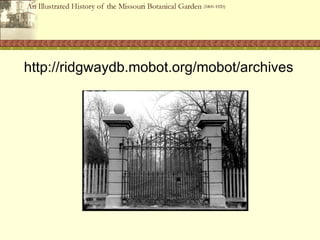 Mainstreaming Digital Imaging: Missouri Botanical Garden Archives 
