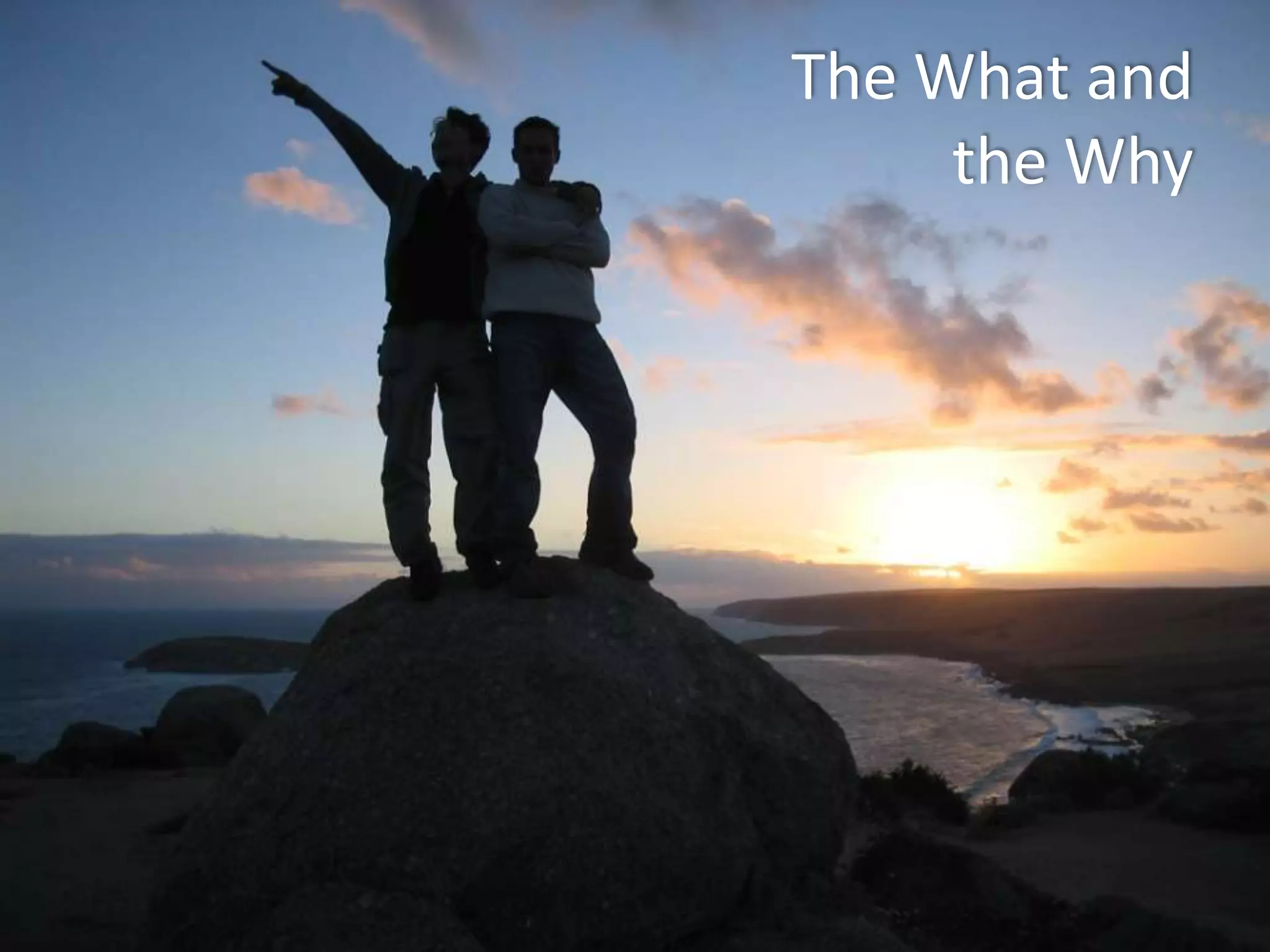 The What and
the Why

 