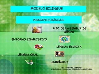 MODELO BILINGÜE


           PRINCIPIOS BÁSICOS


                        USO DE LA LENGUA DE
                              SEÑAS

ENTORNO LINGÜÍSTICO

                           LENGUA ESCRITA

   LENGUA ORAL

                      CURRÍCULO
                                 DRA LUDMILAN ZAMBRANO
                      UNIVERSIDAD PEDAGÓGICA EXPERIMENTAL LIBERTADOR
 