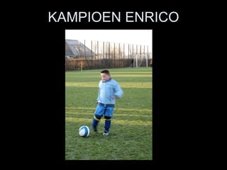 KAMPIOEN ENRICO 