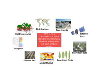 Field Inventories
Model Output
Collection Data
Satellite
Data
Phylogenies
Distributions Experiments
Functional Traits
Ecos...