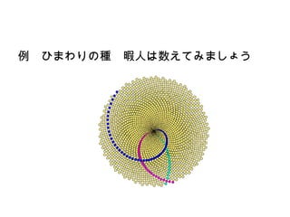 　
例　ひまわりの種　暇人は数えてみましょう
 