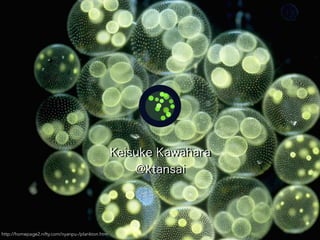 Keisuke Kawahara
@ktansai
http://homepage2.nifty.com/nyanpu-/plankton.htm
 