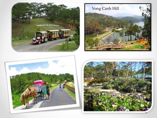 Vong Canh Hill
 