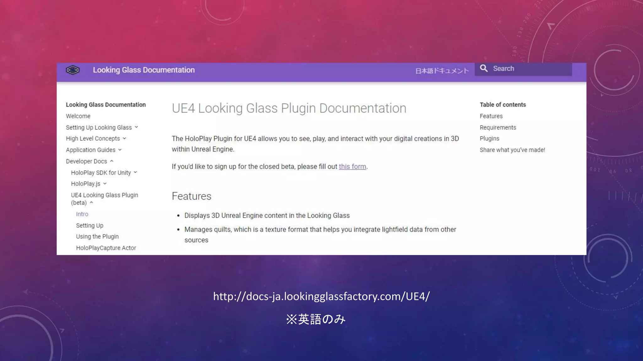 http://docs-ja.lookingglassfactory.com/UE4/
※英語のみ
 
