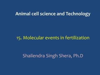 Animal cell science and Technology
15. Molecular events in fertilization
Shailendra Singh Shera, Ph.D
 