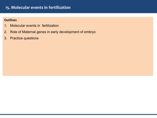 Outlines
1. Molecular events in fertilization
2. Role of Maternal genes in early development of embryo
3. Practice questions
15. Molecular events in fertilization
 