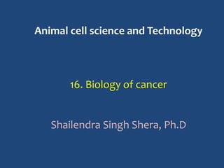Animal cell science and Technology
16. Biology of cancer
Shailendra Singh Shera, Ph.D
 