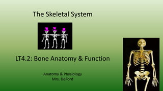 The Skeletal System
LT4.2: Bone Anatomy & Function
Anatomy & Physiology
Mrs. DeFord
 