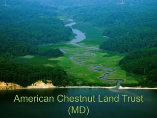 American Chestnut Land Trust 
(MD) 
 
