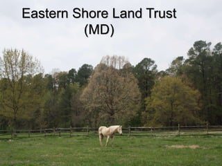 Eastern Shore Land Trust 
(MD) 
 