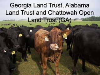 Georgia Land Trust, Alabama 
Land Trust and Chattowah Open 
Land Trust (GA) 
 
