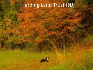 Harding Land Trust (NJ) 
 