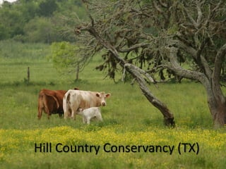 Hill Country Conservancy (TX) 
 