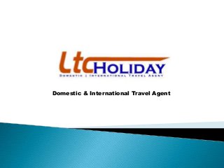 Domestic & International Travel Agent

 