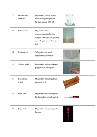 22   Beaker glass    Digunakan sebagai tempat
     1000 ml         untuk menghomogenkan
                     larutan sampai 1000 ml



23   Erlenmeyer      Digunakan untuk
                     menhomogenkan larutan
                     dengan cara digoyang-goyang
                     dan sebagai tempat NA dan
                     PDA



24   Cawan petri     Sebagai tempat untuk
                     melakukan penanaman



25   Tabung reaksi   Digunakan untuk melakukan
                     pengenceran bertingkat




26   Rak tabung      Digunakan untuk meletakan
     reaksi          tabung reaksi




27   Pipet tetes     Digunakan untuk mengambil
                     larutan dalam jumlah sedikit




28   Pipet ball      Digunakan untuk mengambil
                     larutan
 
