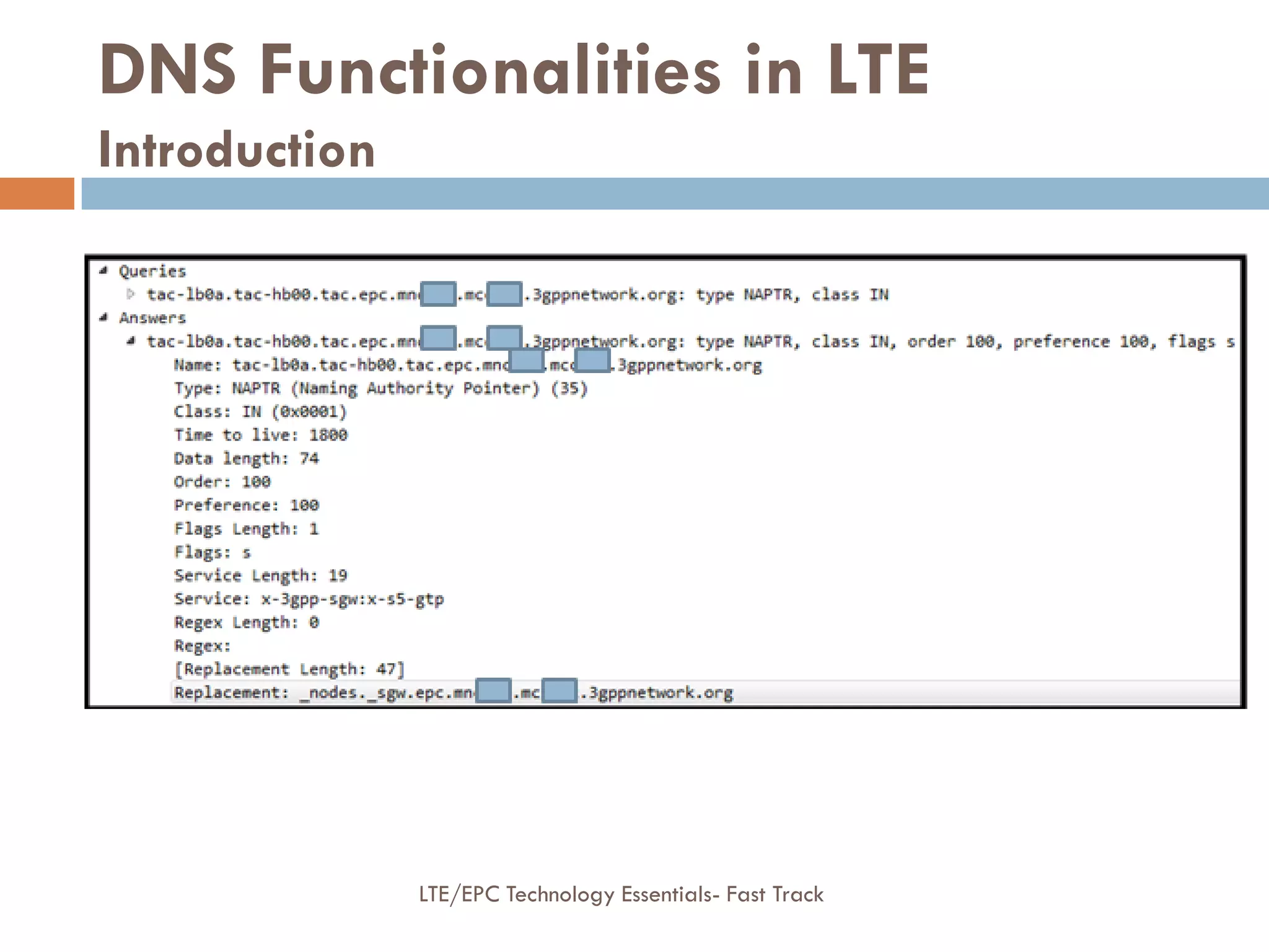 DNS Functionalities in LTE
Introduction
LTE/EPC Technology Essentials- Fast Track
 