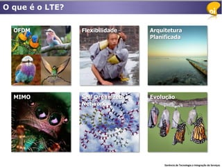 O que é o LTE?


  OFDM           Flexibilidade    Arquitetura
                                  Planificada




  MIMO           Self Organized   Evolução
                 Network




                                       Gerência de Tecnologia e Integração de Serviços
 