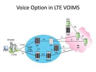 Voice Option in LTE VOIMS
 