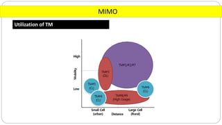 MIMO
Utilization of TM
 