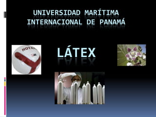 UNIVERSIDAD MARÍTIMA
INTERNACIONAL DE PANAMÁ
LÁTEX
 
