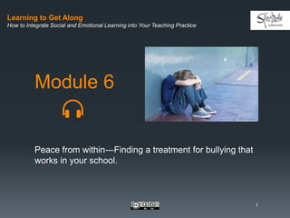 Learning to Get Along
How to Integrate Social and Emotional Learning into Your Teaching Practice
Module 6
Peace from within—Finding a treatment for bullying that
works in your school.
1
 