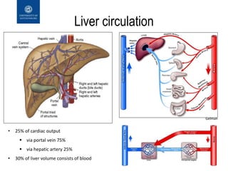 Haemodynamic management in liver surgery | PPTX