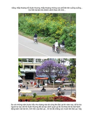 nắng, thấp thoáng hồ Xuân Hương, thấp thoáng những con phố lên lên xuống xuống...
                   Cứ thế mà làm tôi chênh vênh theo nỗi nhớ...




So với những năm trước hầu như tháng nào tôi cũng lên Đà Lạt thì năm nay, kể từ lúc
người ta nạo vét hồ Xuân Hương để cải tạo cảnh quan gì đó mà theo tôi là một hành
động băm nát trái tim, linh hồn của Đà Lạt... thì tôi đã chẳng còn muốn lên Đà Lạt. Vậy
 