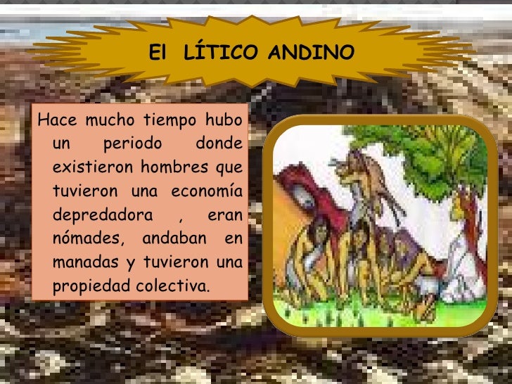 Lítico Andino 4