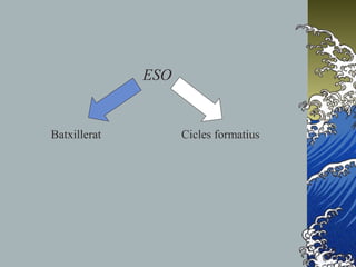 ESO
Batxillerat Cicles formatius
 