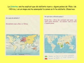 La  Caterina  ens ha explicat que els elefants viuen a  alguns països de l’Àsia i de l’Àfrica, i en un mapa ens ha assenyalat la zones on hi ha elefants. Observeu: 