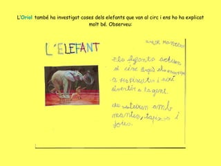 L’ Oriol  també ha investigat coses dels elefants que van al circ i ens ho ha explicat molt bé. Observeu: 