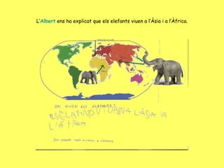 L’ Albert  ens ha explicat que els elefants viuen a l’Àsia i a l’Àfrica. 