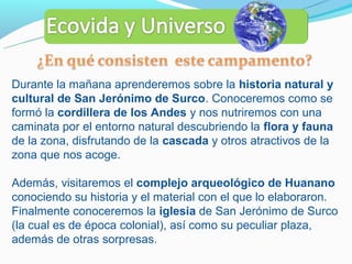 Durante la mañana aprenderemos sobre la historia natural y
cultural de San Jerónimo de Surco. Conoceremos como se
formó la cordillera de los Andes y nos nutriremos con una
caminata por el entorno natural descubriendo la flora y fauna
de la zona, disfrutando de la cascada y otros atractivos de la
zona que nos acoge.

Además, visitaremos el complejo arqueológico de Huanano
conociendo su historia y el material con el que lo elaboraron.
Finalmente conoceremos la iglesia de San Jerónimo de Surco
(la cual es de época colonial), así como su peculiar plaza,
además de otras sorpresas.
 