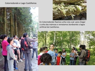 Cotorredondo e Lago Castiñeiras
En Cotorredondo fixemos unha ruta a pé para chegar
a unha das mámoas e rematamos bordeando a lagoa
artificial de Castiñeiras.
 