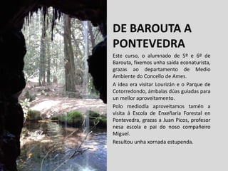 DE BAROUTA A
PONTEVEDRA
Este curso, o alumnado de 5º e 6º de
Barouta, fixemos unha saída econaturista,
grazas ao departamento de Medio
Ambiente do Concello de Ames.
A idea era visitar Lourizán e o Parque de
Cotorredondo, ámbalas dúas guiadas para
un mellor aproveitamento.
Polo mediodía aproveitamos tamén a
visita á Escola de Enxeñaría Forestal en
Pontevedra, grazas a Juan Picos, profesor
nesa escola e pai do noso compañeiro
Miguel.
Resultou unha xornada estupenda.
 