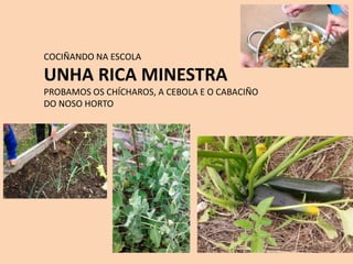 COCIÑANDO NA ESCOLA
UNHA RICA MINESTRA
PROBAMOS OS CHÍCHAROS, A CEBOLA E O CABACIÑO
DO NOSO HORTO
 