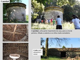 A tulla, para
almacenar o
cereal.
O pombal, unha parte importante da casa, para a cría de
pichóns. Ollade a cuberta e os niños mailo comedeiro.
O pombal
 