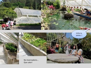 No invernadoiro...
Que calor!
Unha ra,
peixes..!
 