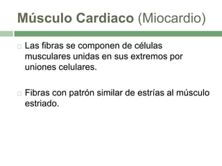 Músculo Cardiaco (Miocardio)
   Las fibras se componen de células
    musculares unidas en sus extremos por
    uniones celulares.

   Fibras con patrón similar de estrías al músculo
    estriado.
 