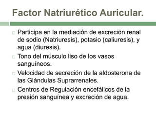 Factor Natriurético Auricular.
   Participa en la mediación de excreción renal
    de sodio (Natriuresis), potasio (caliuresis), y
    agua (diuresis).
   Tono del músculo liso de los vasos
    sanguíneos.
   Velocidad de secreción de la aldosterona de
    las Glándulas Suprarrenales.
   Centros de Regulación encefálicos de la
    presión sanguínea y excreción de agua.
 