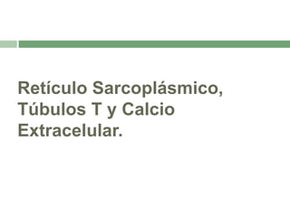 Retículo Sarcoplásmico,
Túbulos T y Calcio
Extracelular.
 