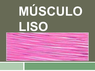 MÚSCULO
LISO
 